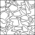 Polygonalverband